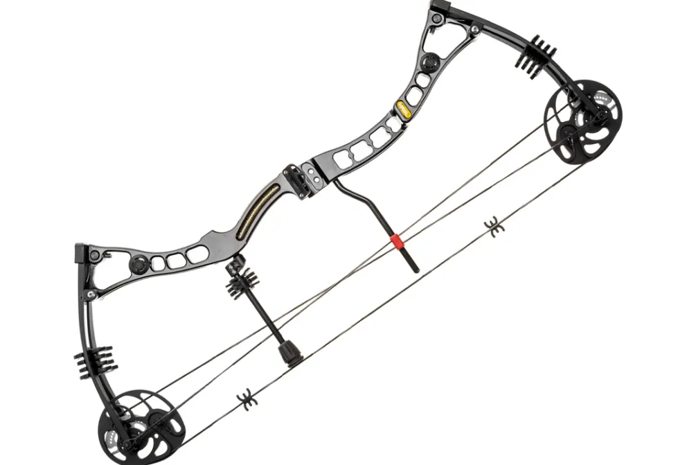 Rodes Axis Pro 30-70 LB | Compound bue Outlet