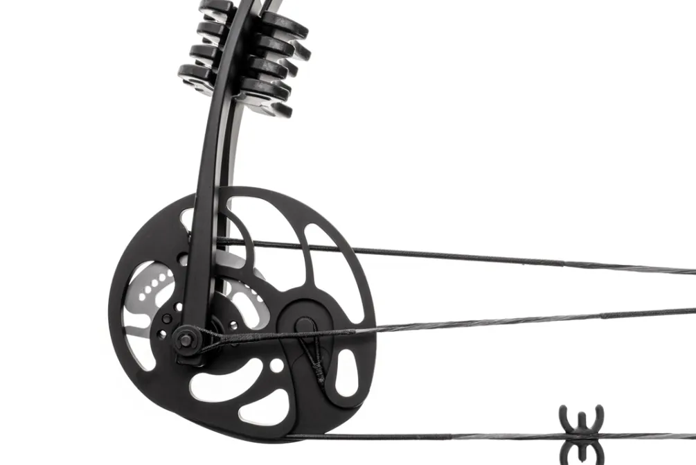 Rodes Axis Pro 30-70 LB | Compound bue Outlet