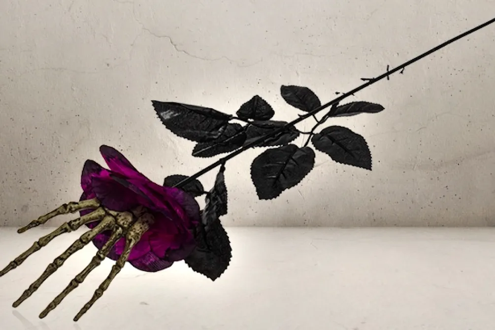 Rodes Black Skull Rose New