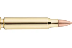 Rodes Bullet Magnet Best