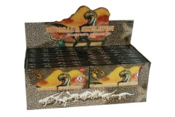 Rodes Dig it out / Dinosaur Fossil Sæt XL – 13 x 18 cm Hot