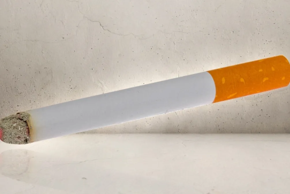 Rodes Fake smoke lit cigarettes – Cigaret med røg – 2 stk. Online