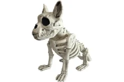 Rodes Skelet Hund 28 cm Online