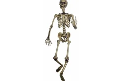 Rodes Skeleton Full Size / Skelet voksen Online