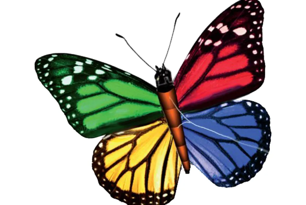 Rodes Stor Pop-Up drage – Butterfly Fashion