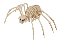 Rodes Tarantula Skeleton 35 x 20 cm Hot