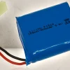 Rodes 9.6v 800mAh Online